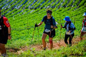 BIB: 9098
                            <button type="button" onclick="openModal(19163778)" class="btn btn-primary btn-sm float-right btn-popup" data-toggle="modal" data-target=".modal-high-quality">
                        <i class="fas fa-shopping-cart"></i> Add to Cart
                    </button>
                                            <button type="button" onclick="isThisMe(19163778, true)" class="btn btn-success btn-sm float-right btn-popup btn-isme hidden" data-toggle="tooltip" data-placement="bottom" title="นี่คือรูปของคุณใช่ไหม คลิกที่นี่เพื่อเอาเข้าอัลบั้ม">
                        <i class="fas fa-plus"></i> Add to album
                    </button>
                    <button type="button" onclick="isThisMe(19163778, false)" class="btn btn-warning btn-sm float-right btn-popup btn-isnotme hidden">
                        <i class="fas fa-ban"></i> Remove from album
                    </button>